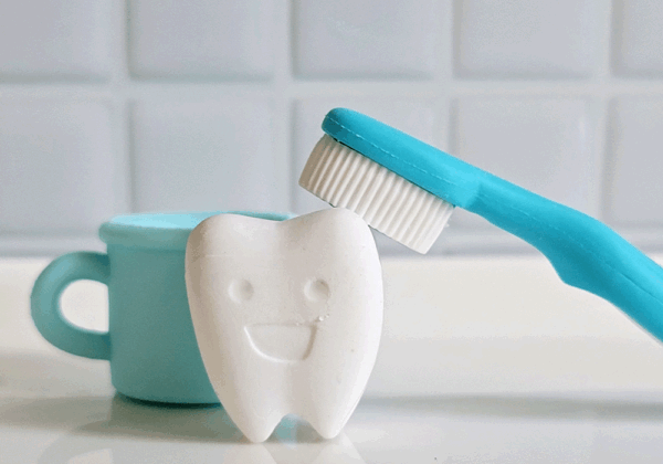 歯ブラシと歯の模型