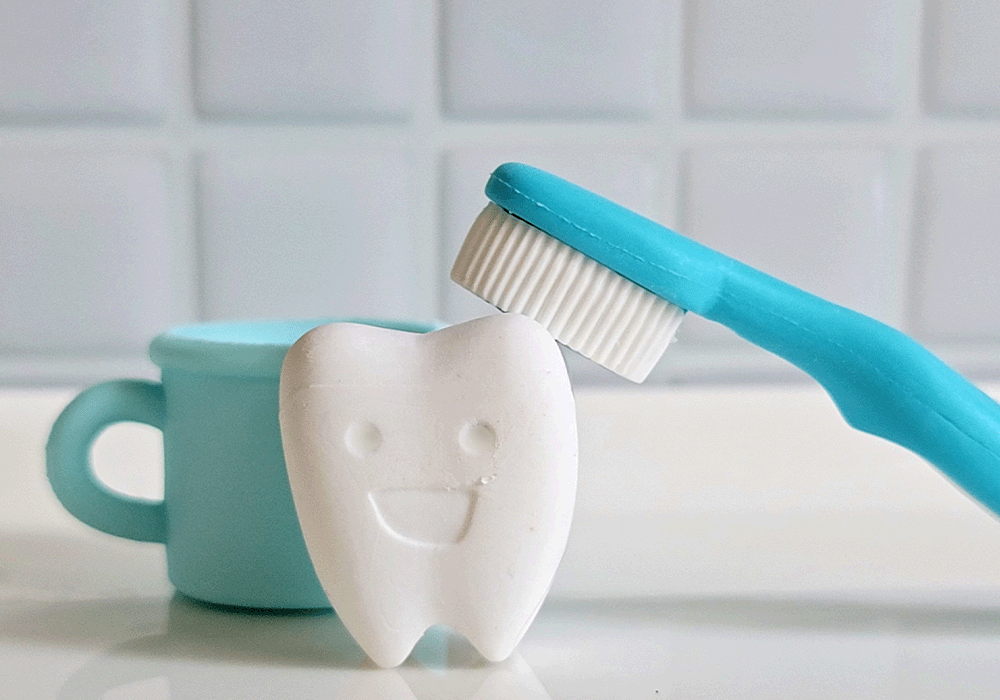 歯ブラシと歯の模型